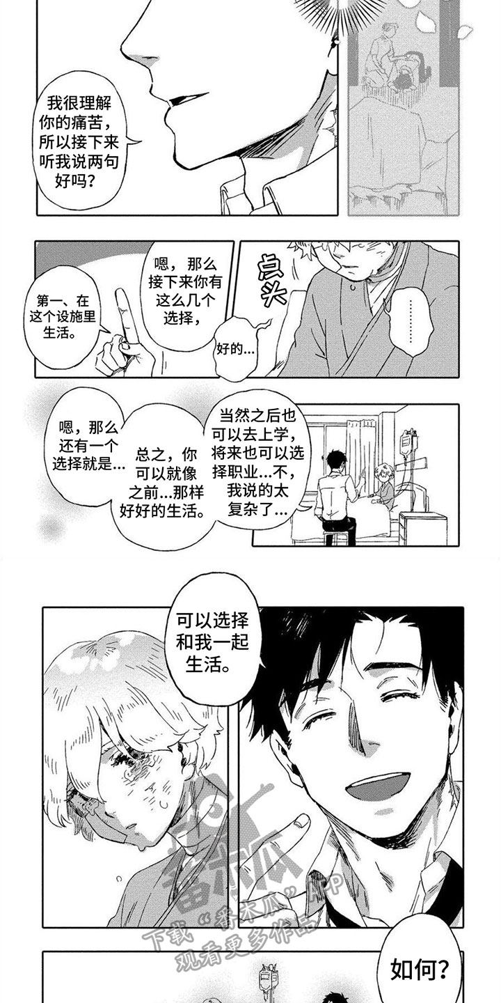 第4章：选择3