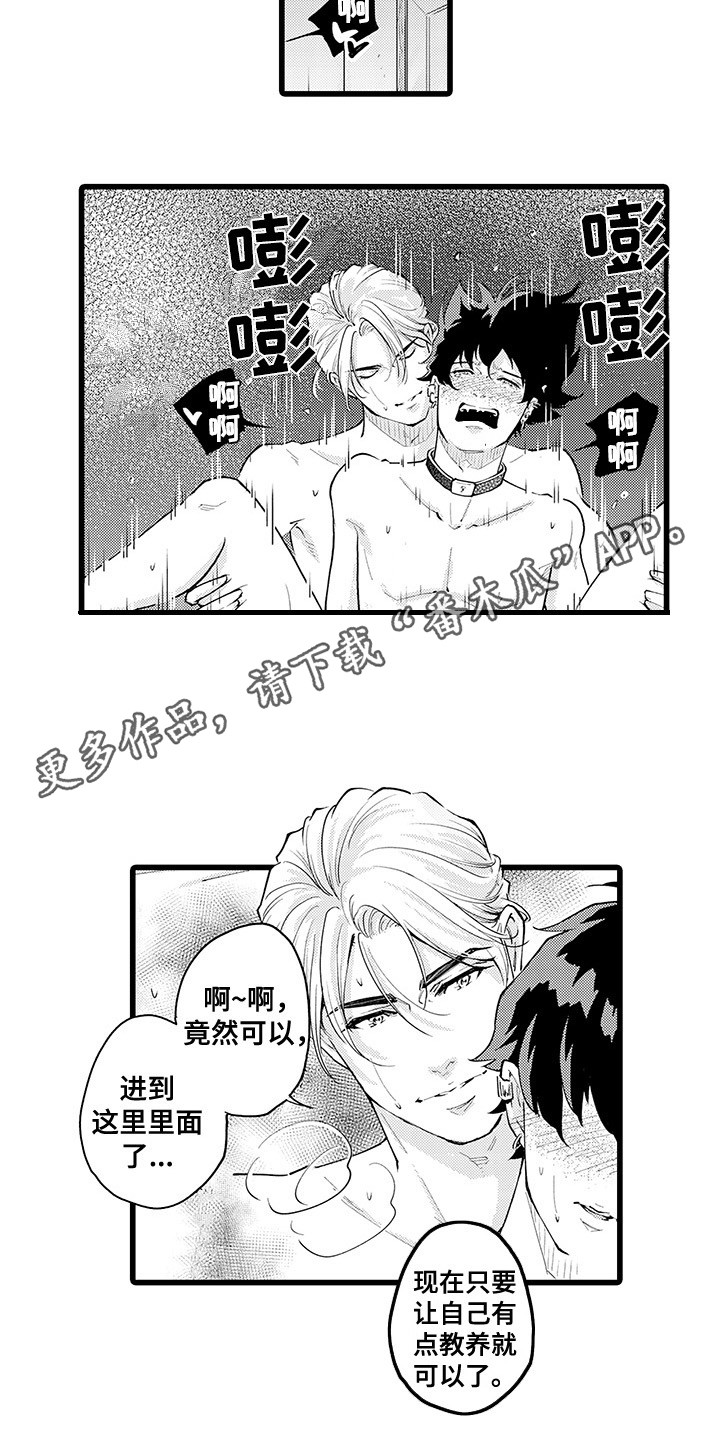 第21章：枫叶纹身2