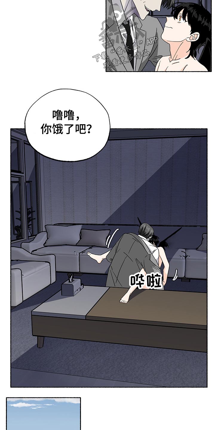 第32章：见面3