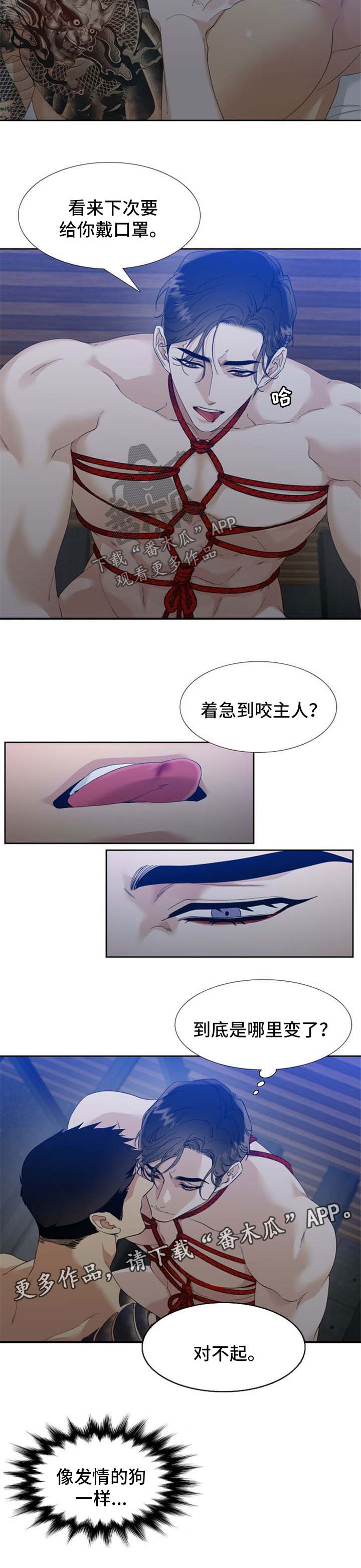 第63章：不要干涉我3