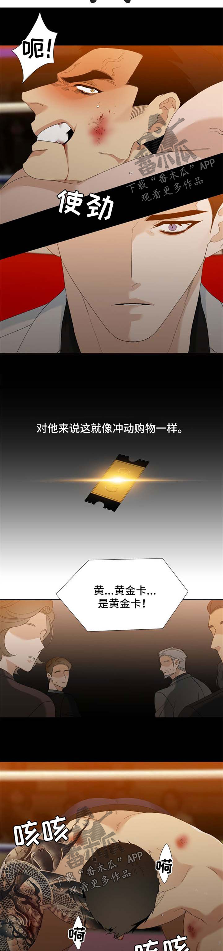 第40章：黄金卡3
