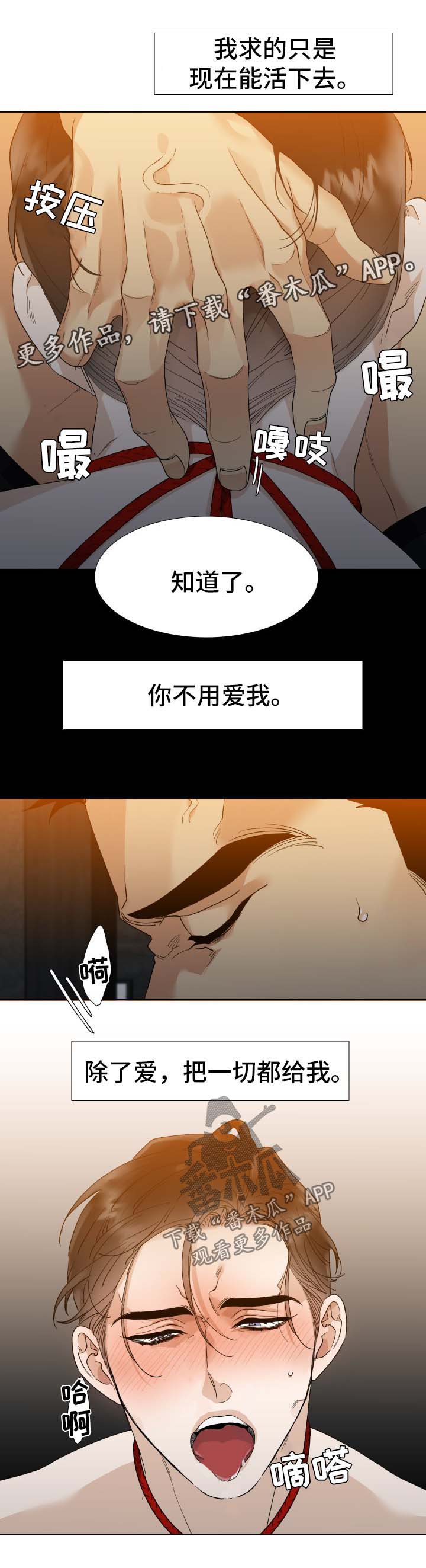 第27章：不用爱我4