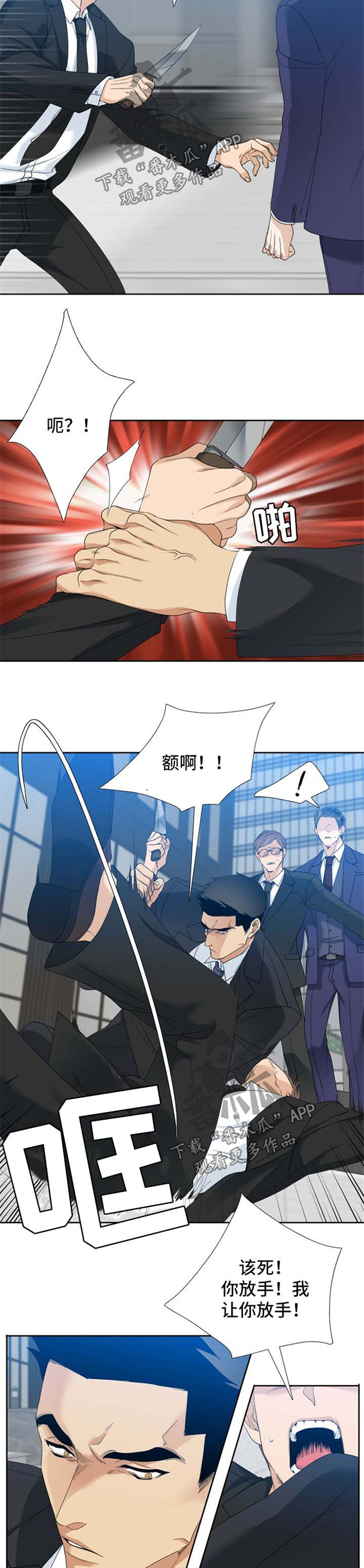 第42章：刺杀4