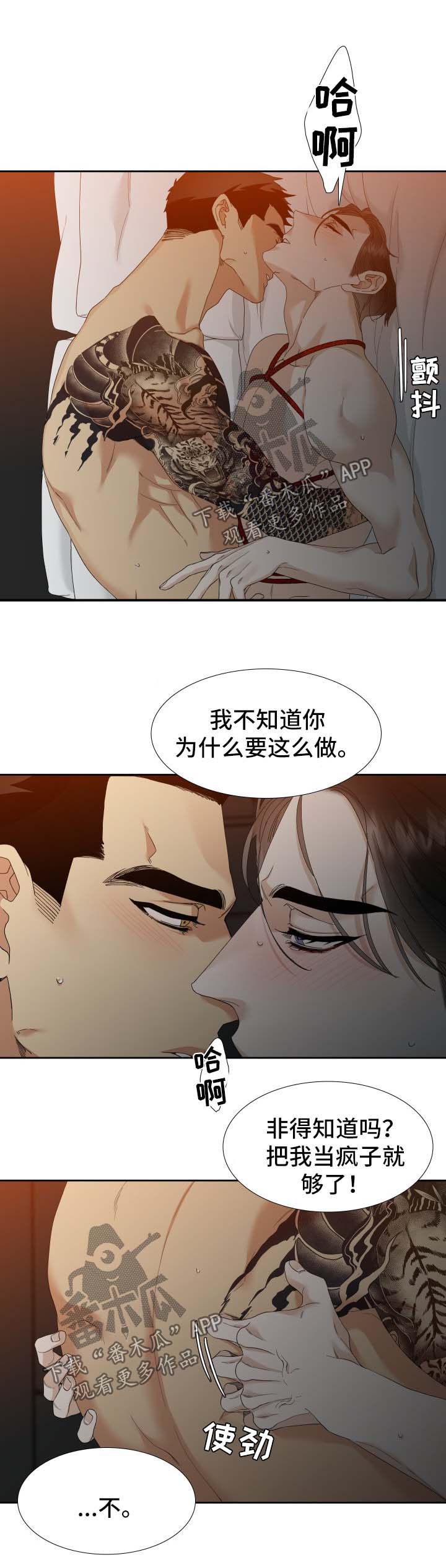 第28章：着迷2