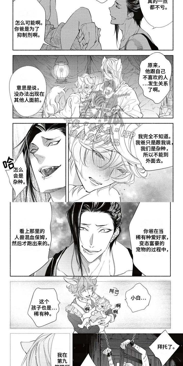 第10章：拍卖2