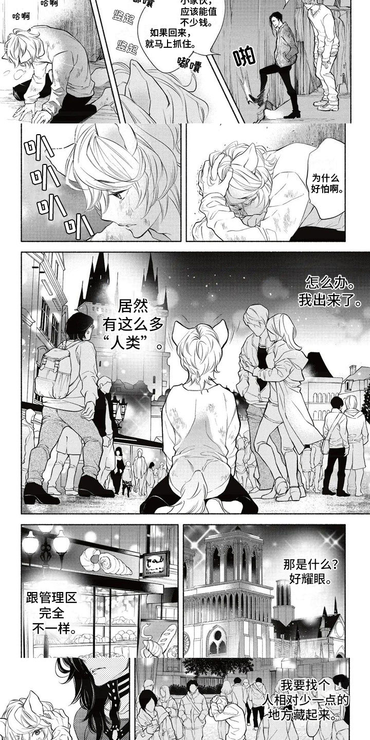 第1章：逃离2
