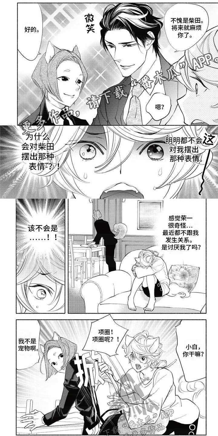 第15章：回答0