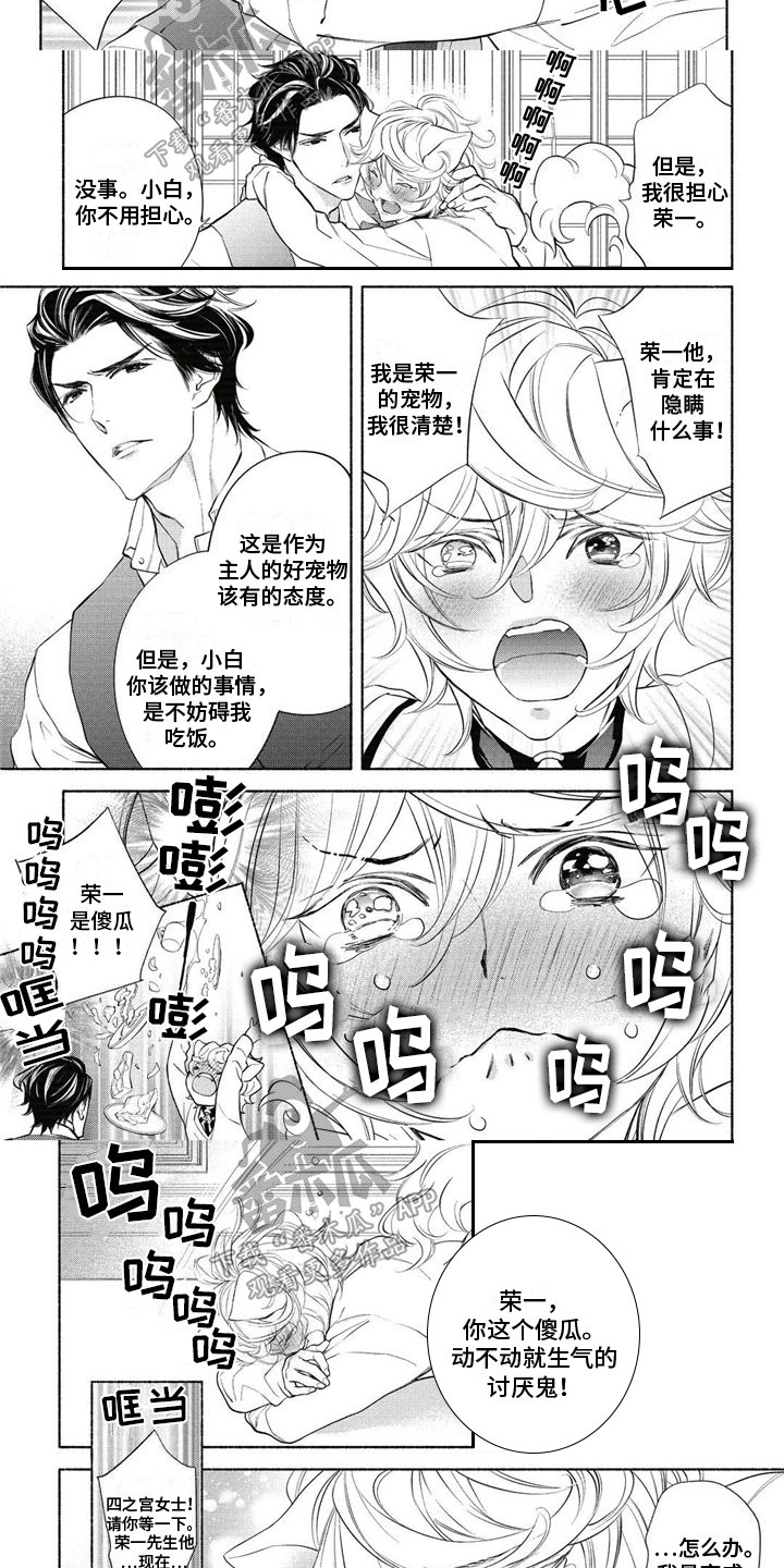 第8章：阴谋3