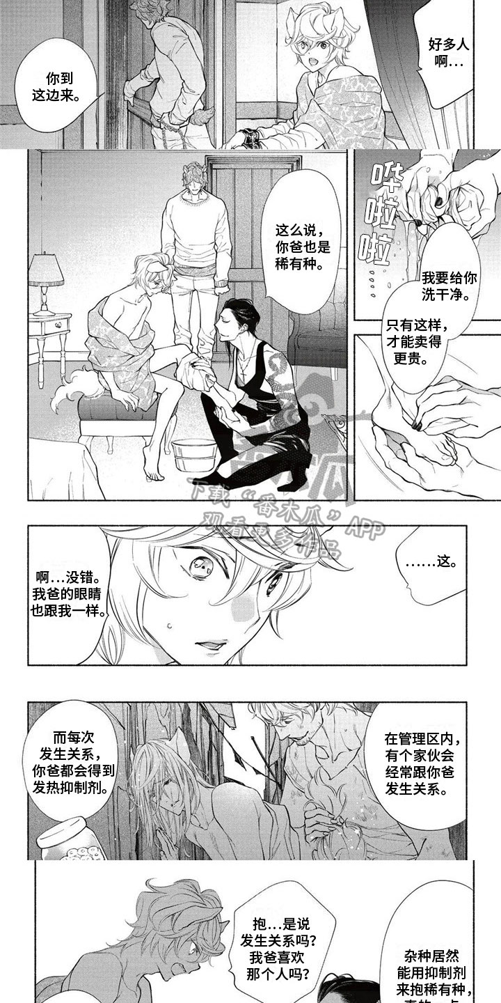 第10章：拍卖1