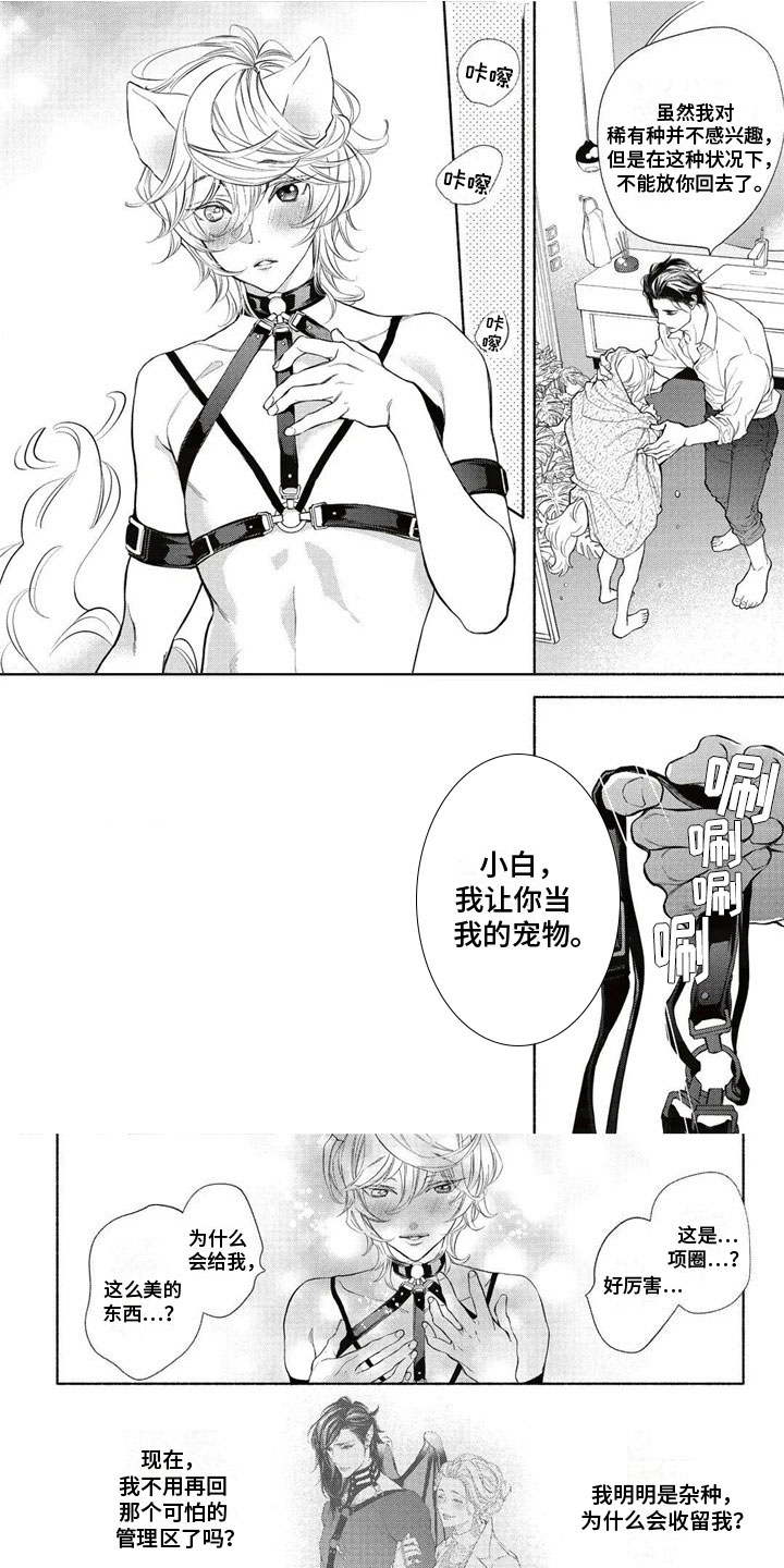 第3章：主人0