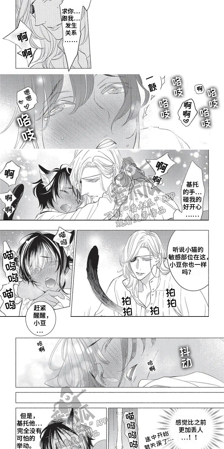 第21章：怀念3