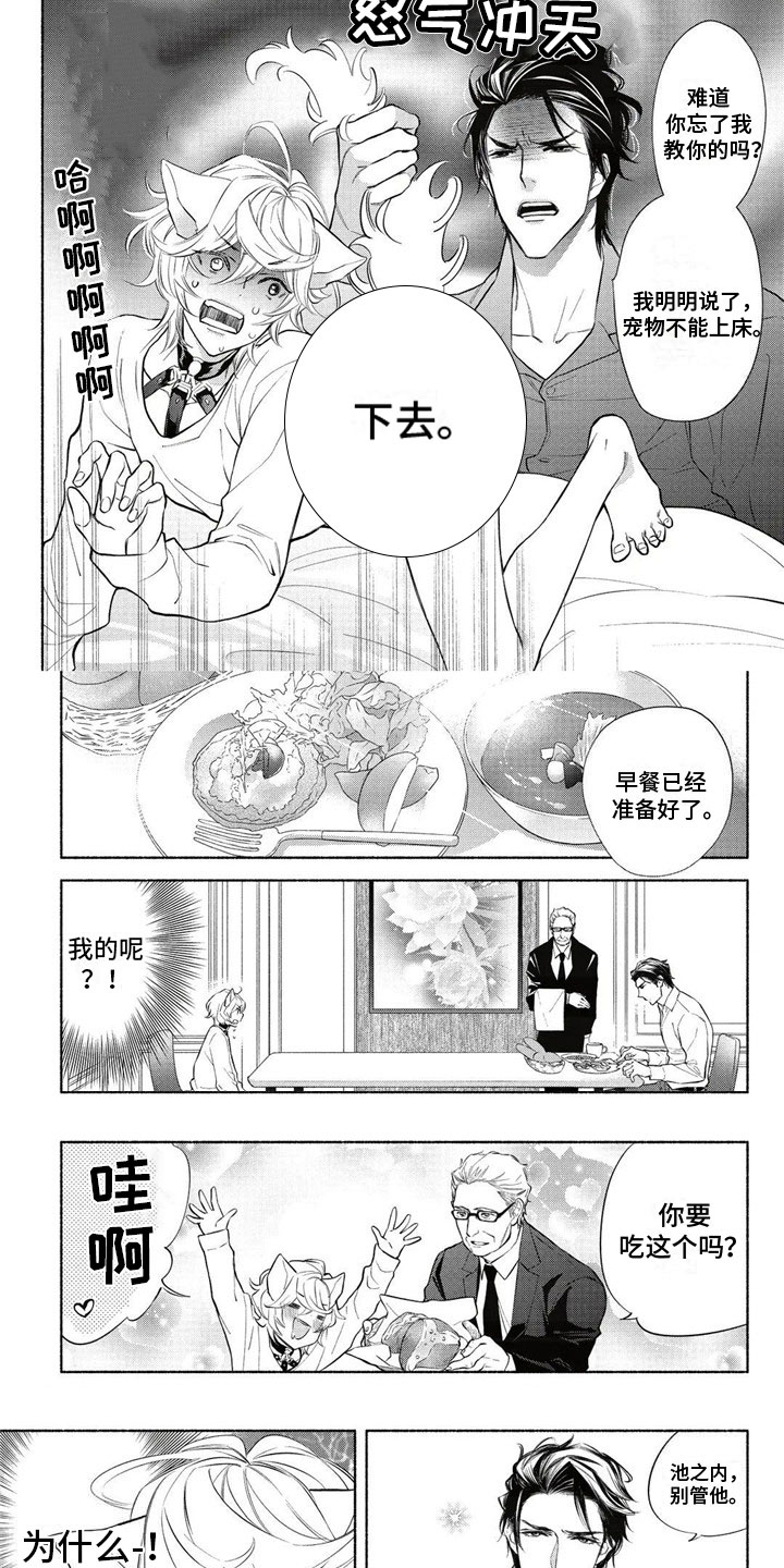 第3章：主人4
