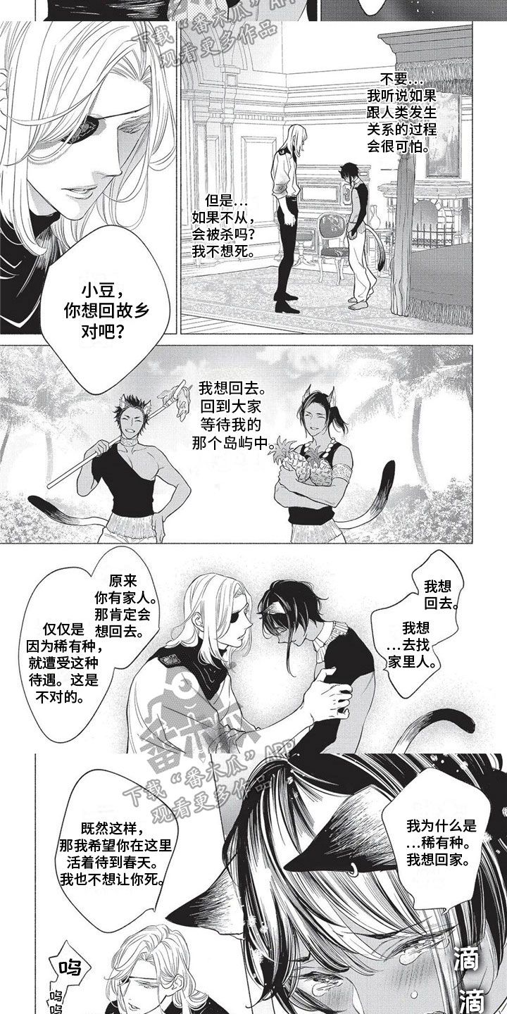 第18章：欺骗4