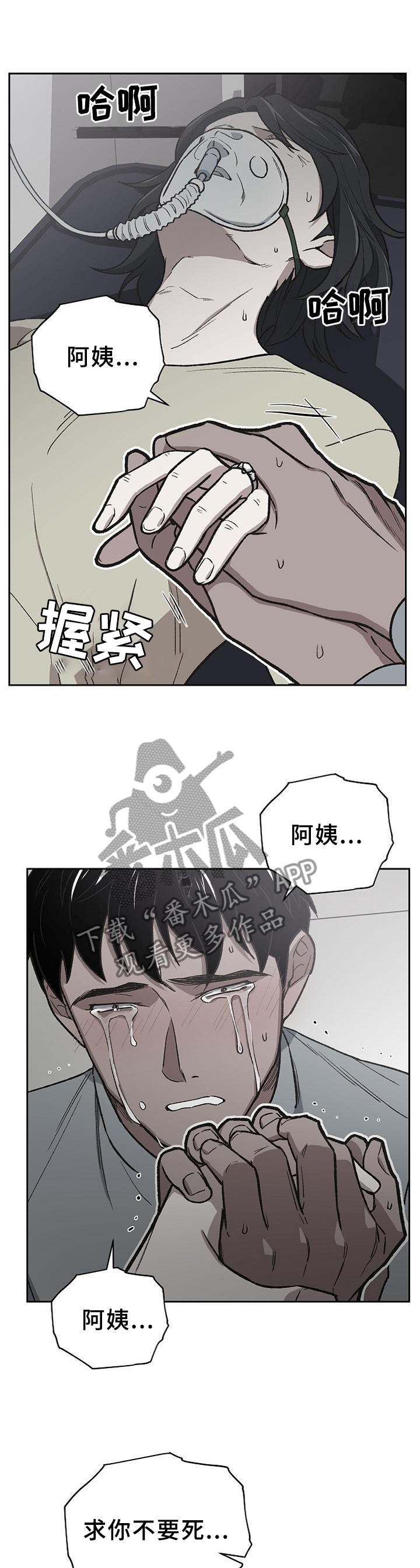 第56章：亲弟弟0