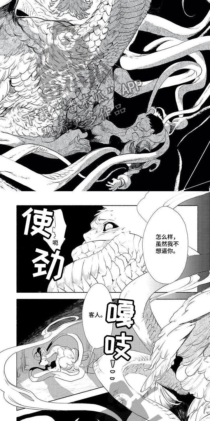 第7章：安排1