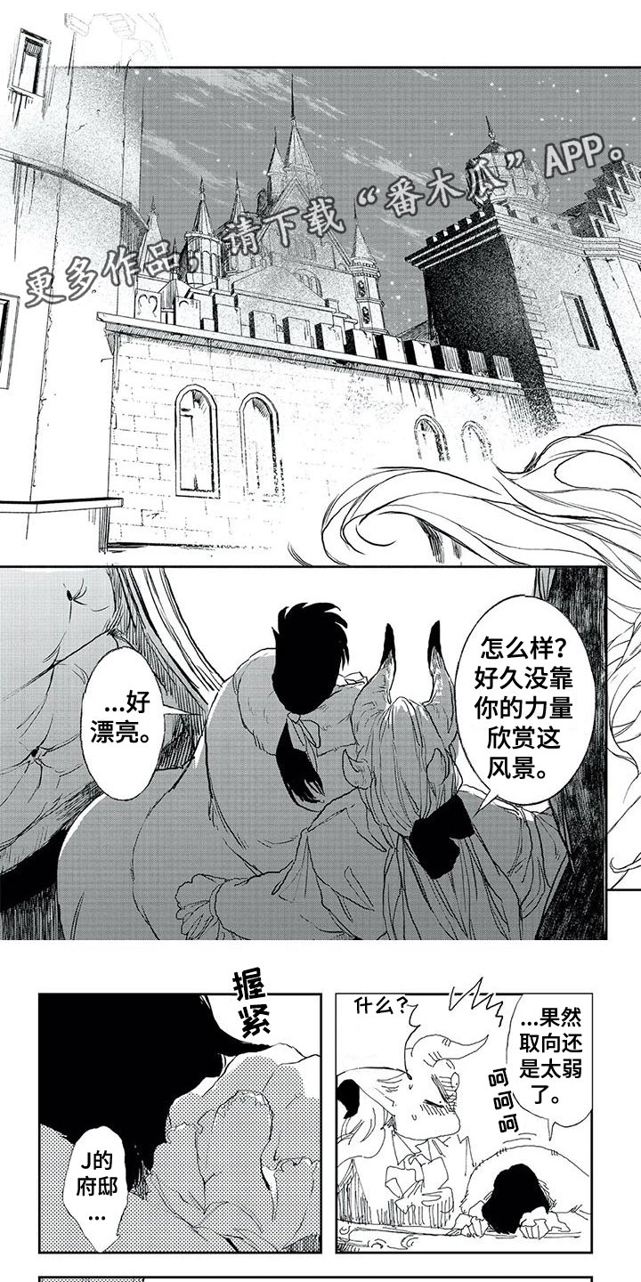 第22章：回收灵魂0
