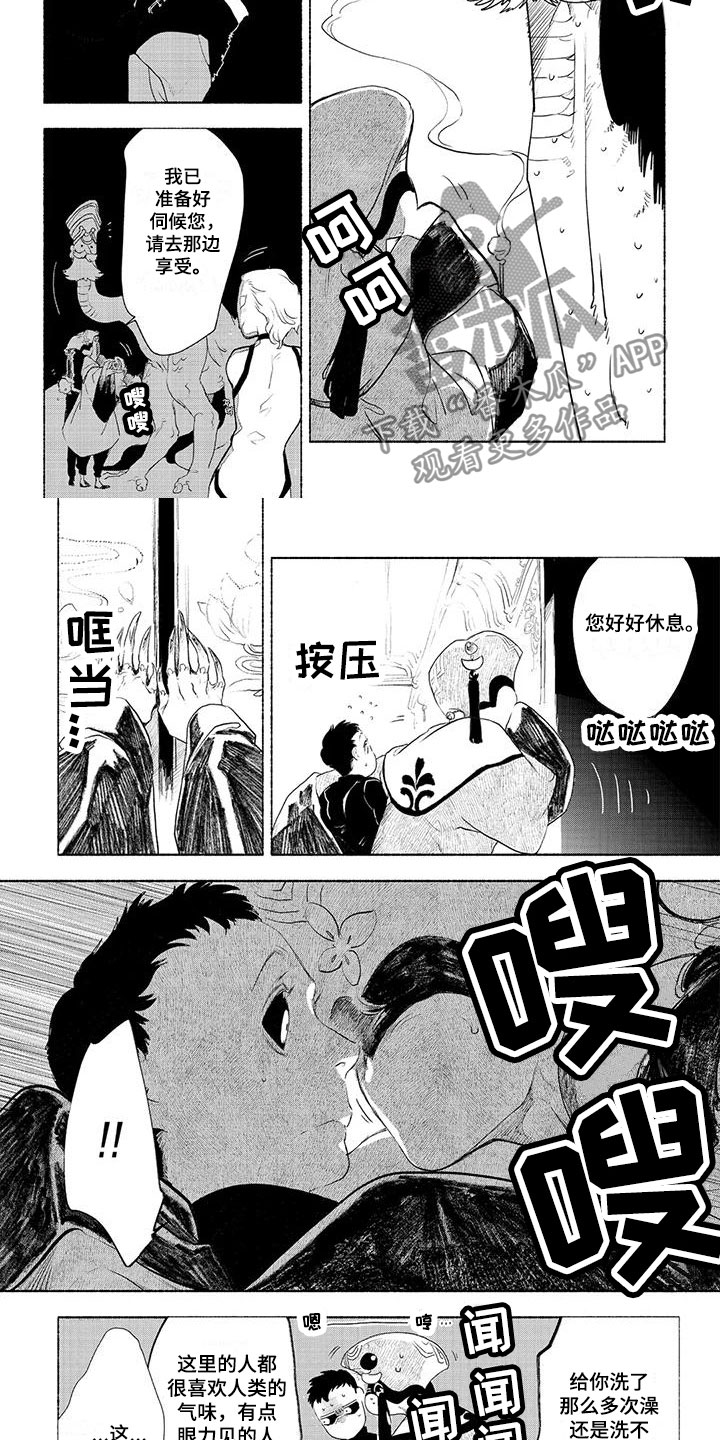 第7章：安排4