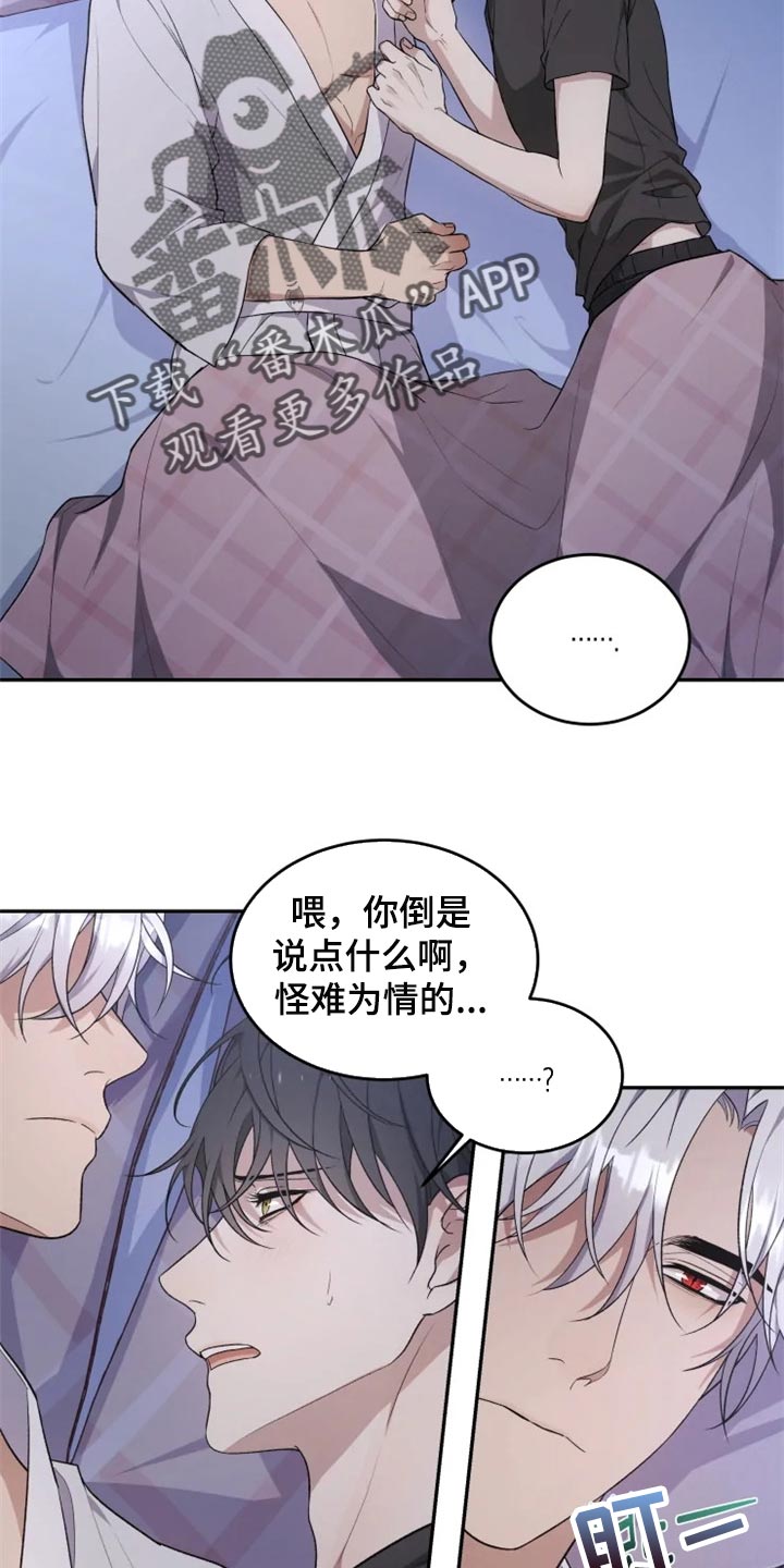 第29章：结界1