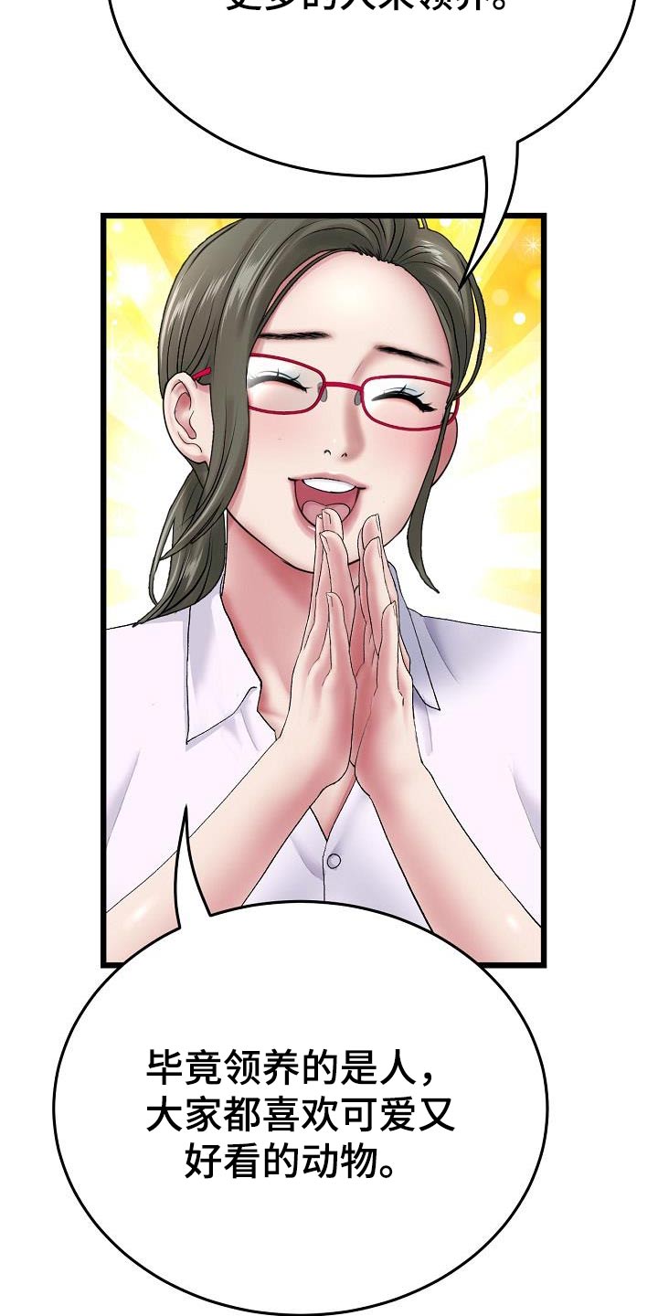 第33章：尝试1