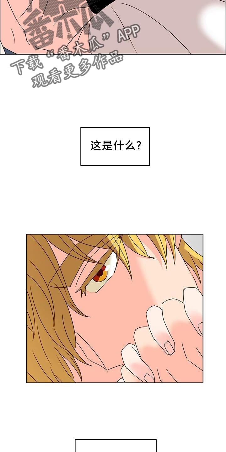 第41章：不正常2