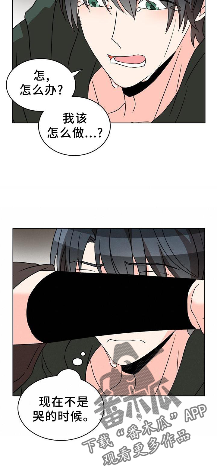第54章：漂亮4
