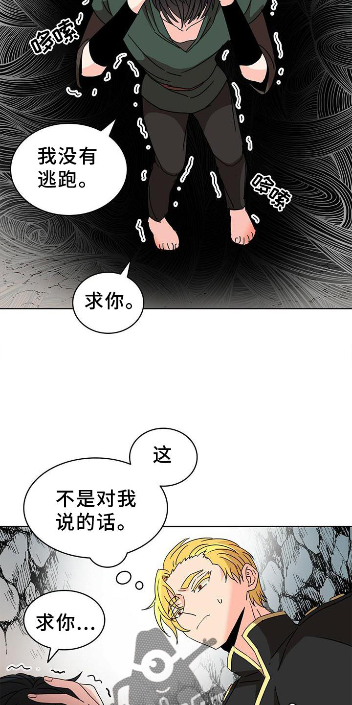 第26章：爱河4