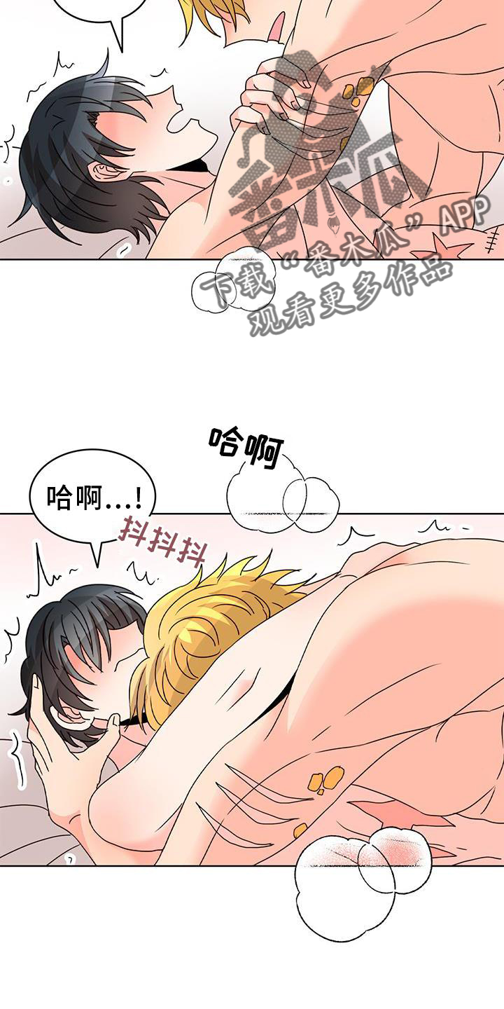 第40章：理由3