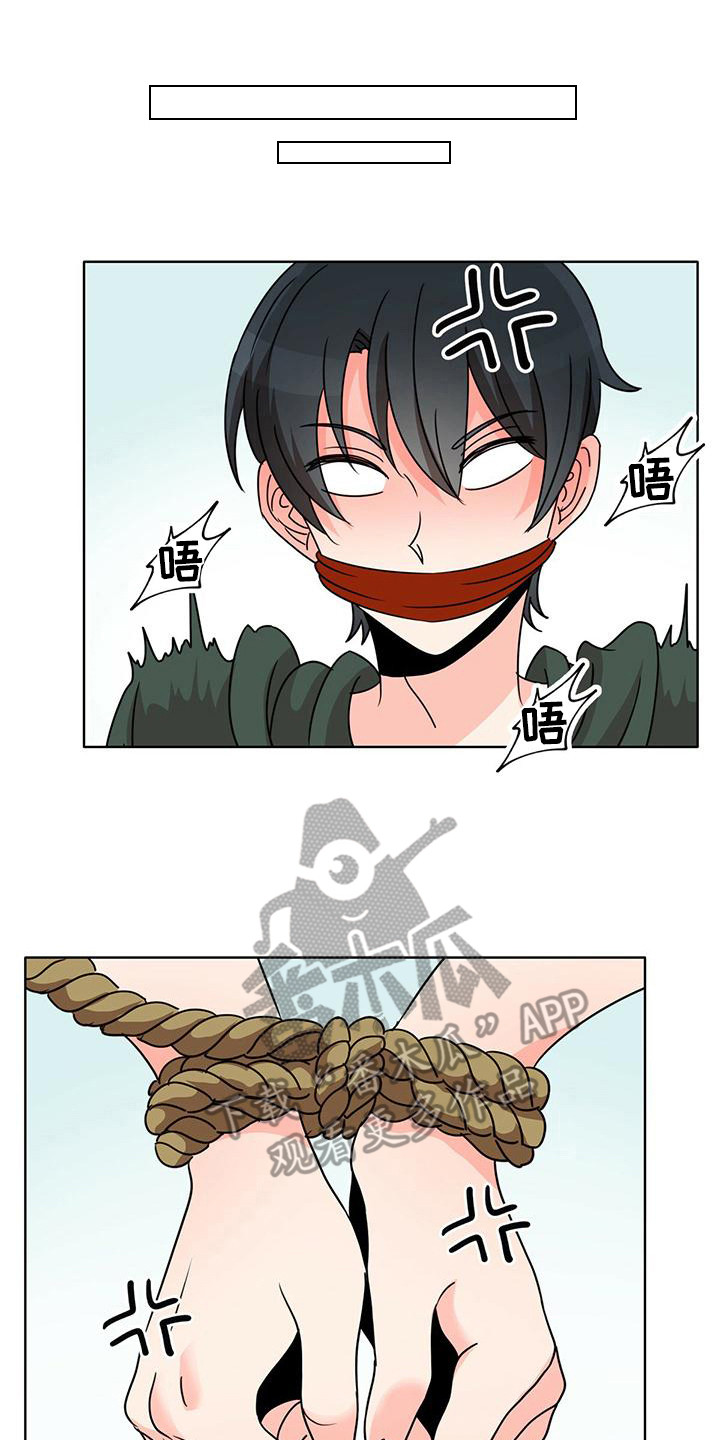 第4章：抓捕0