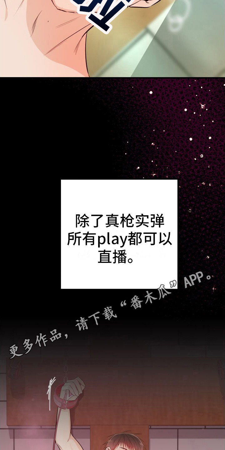第12章：另类直播：直播网站4