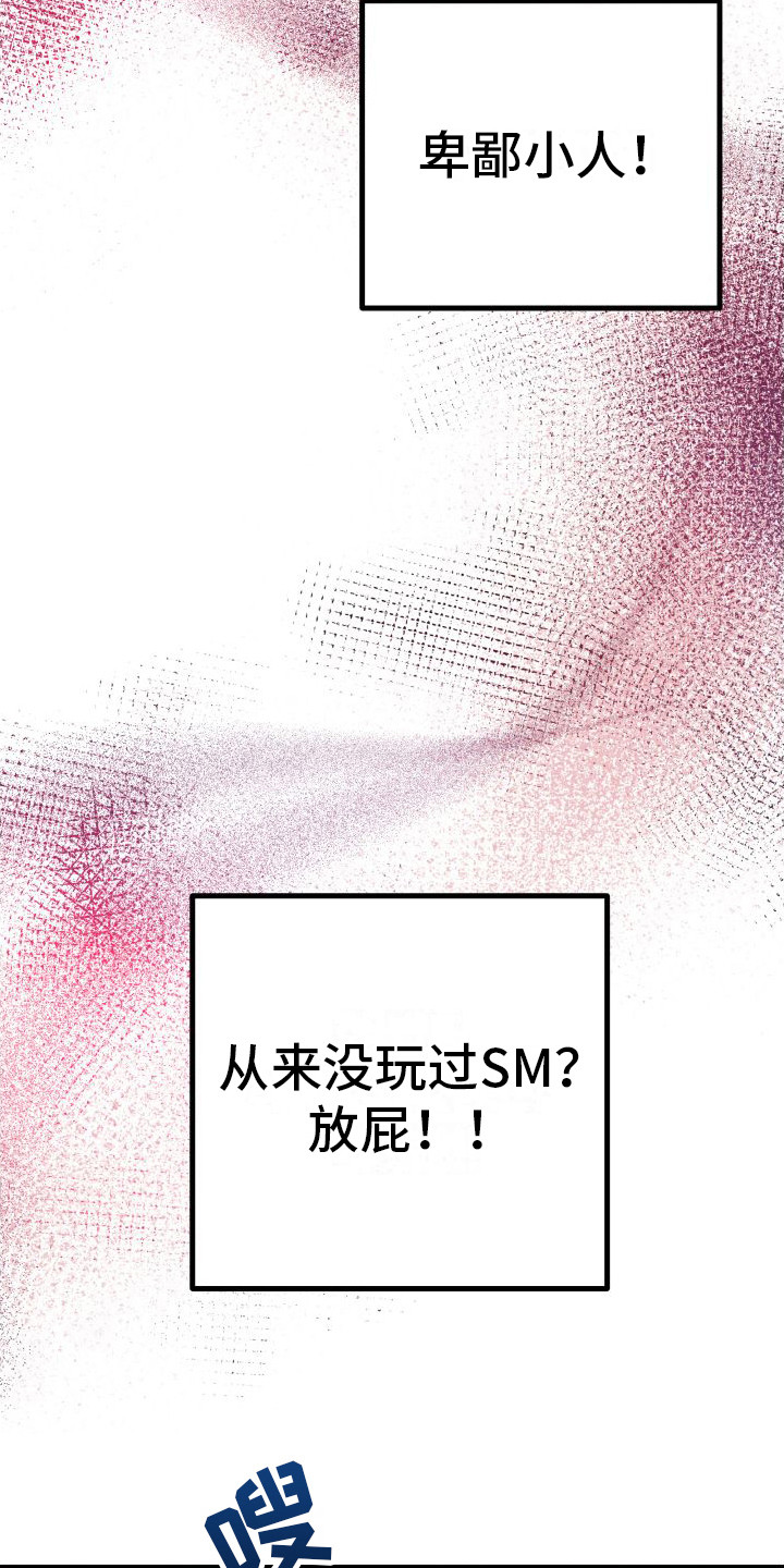 第20章：另类直播：很熟练3