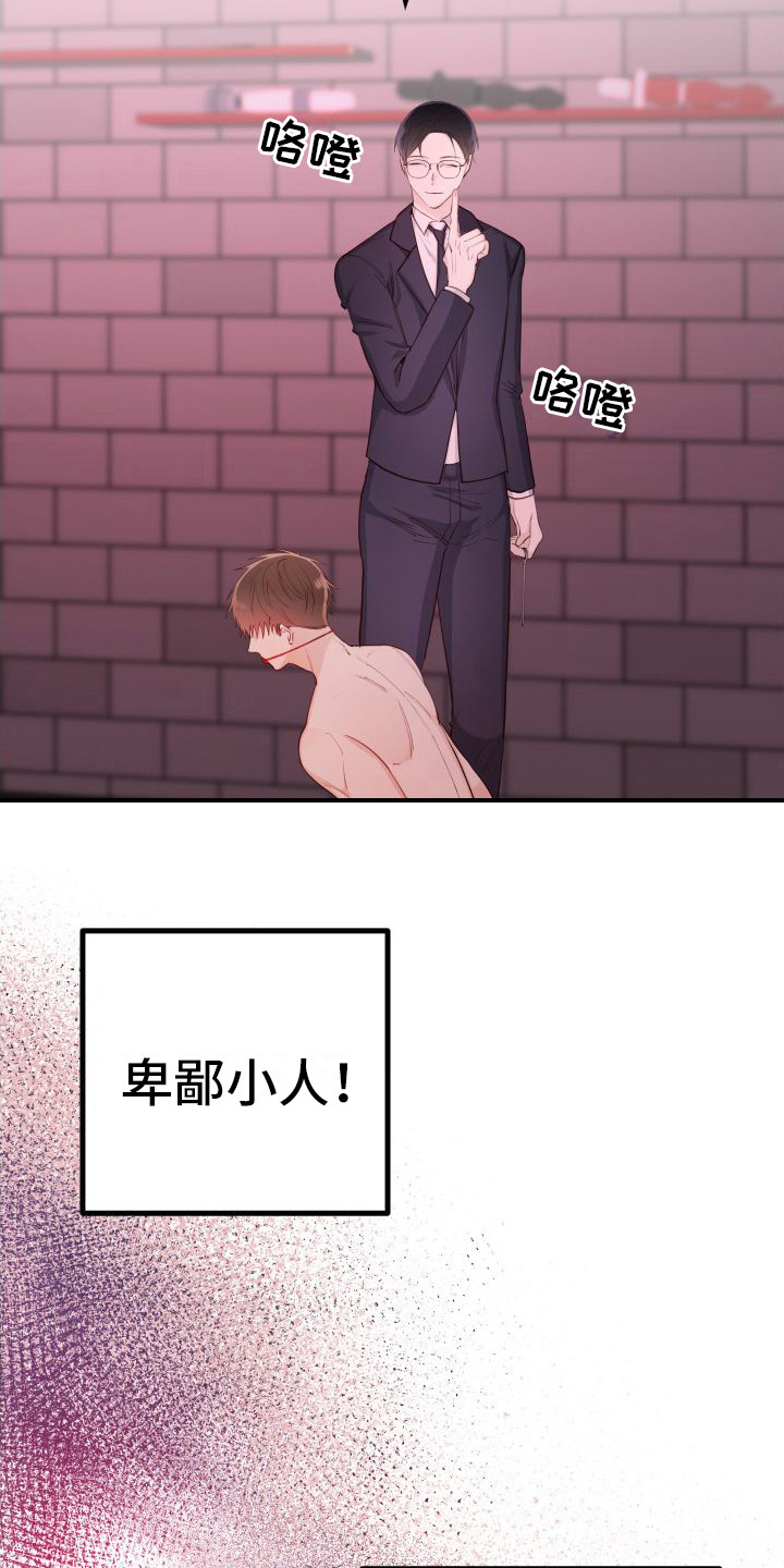 第20章：另类直播：很熟练2