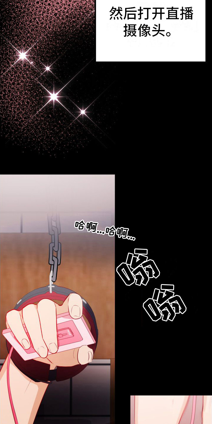 第12章：另类直播：直播网站0