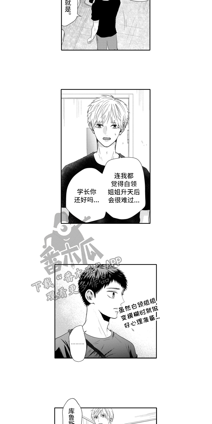 第18章：决定3