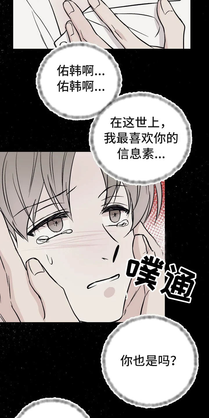 第3章：信息素1