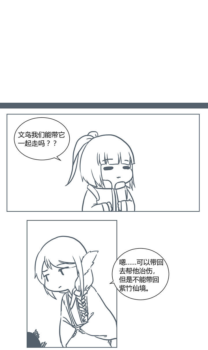 第252章：0