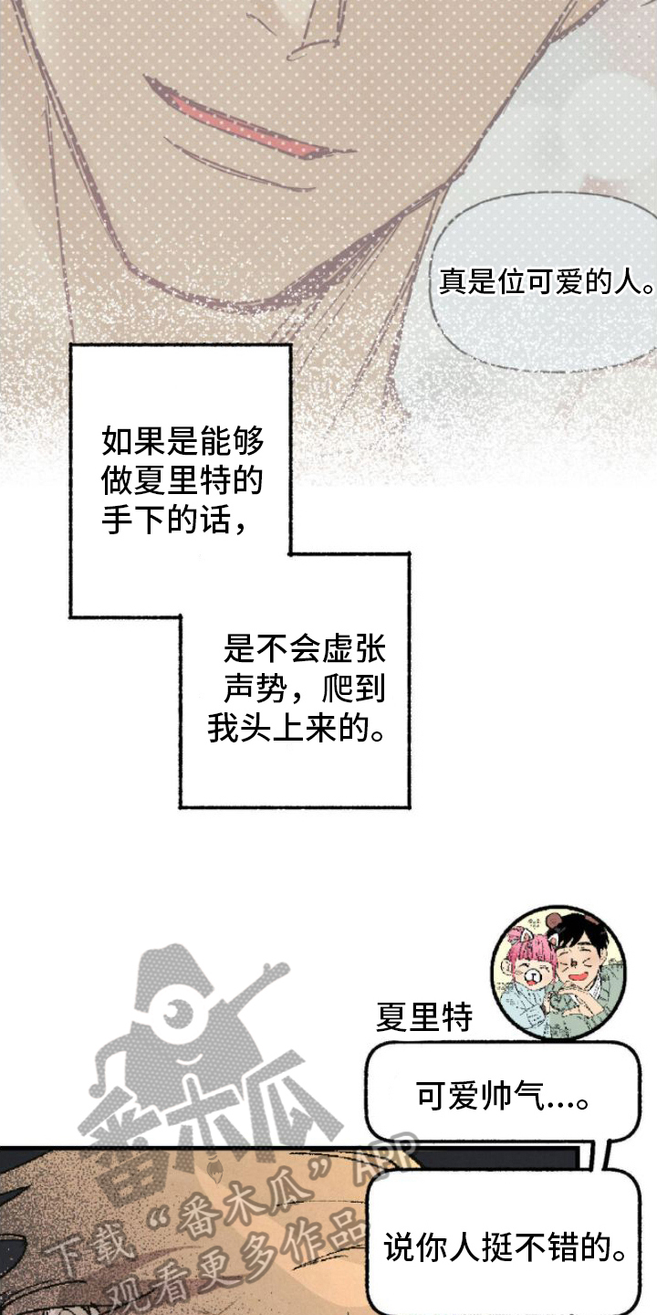 第5章：完美2
