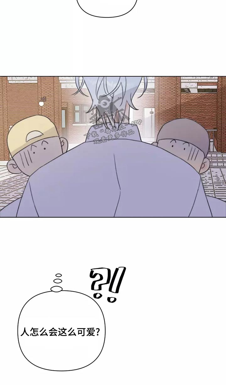 第39章：篮球4
