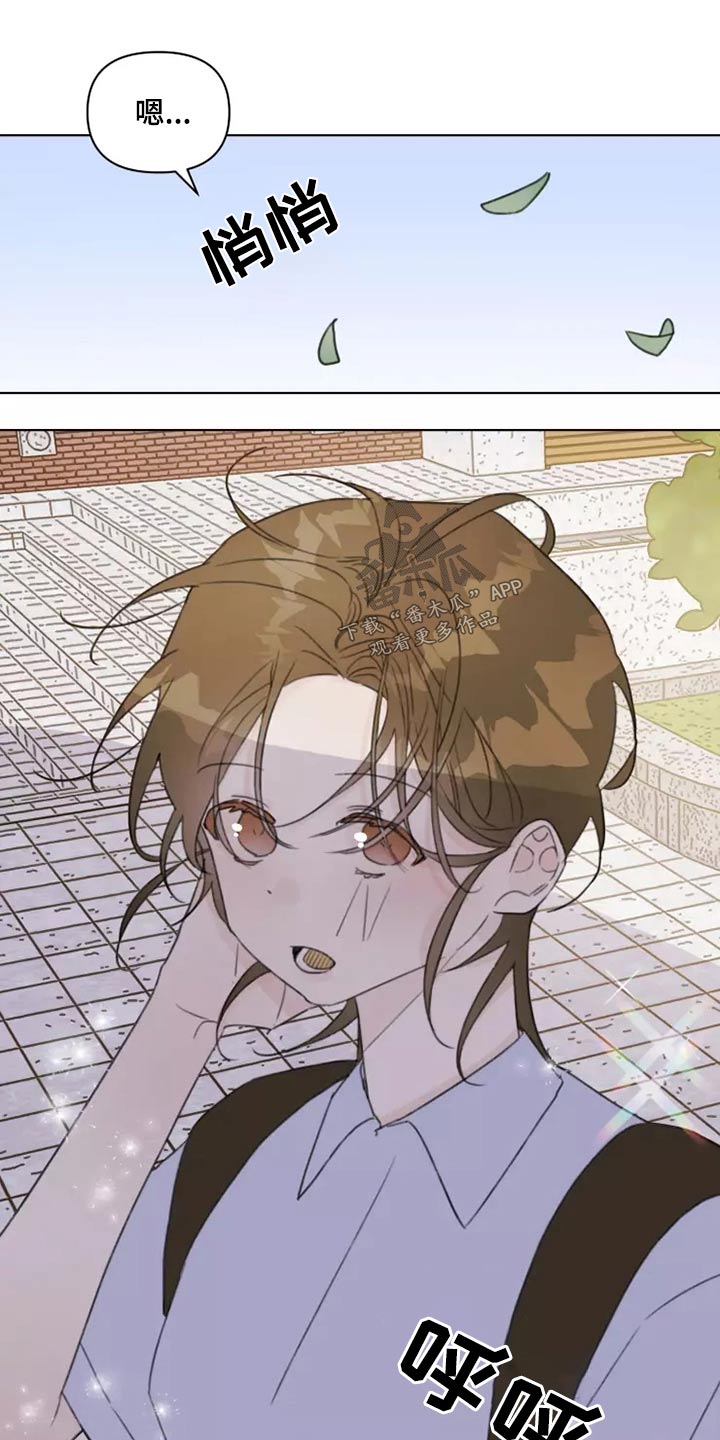 第39章：篮球0
