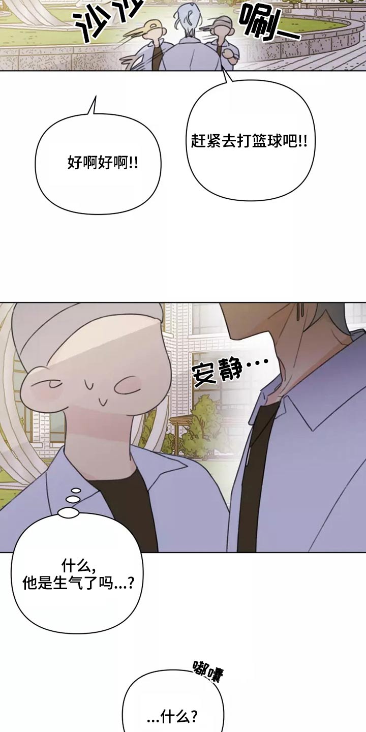 第39章：篮球3