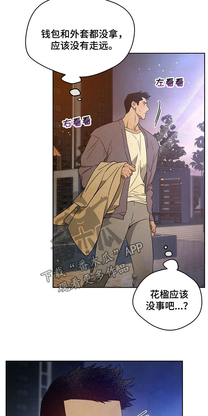 第142章：【第三季】忙碌3