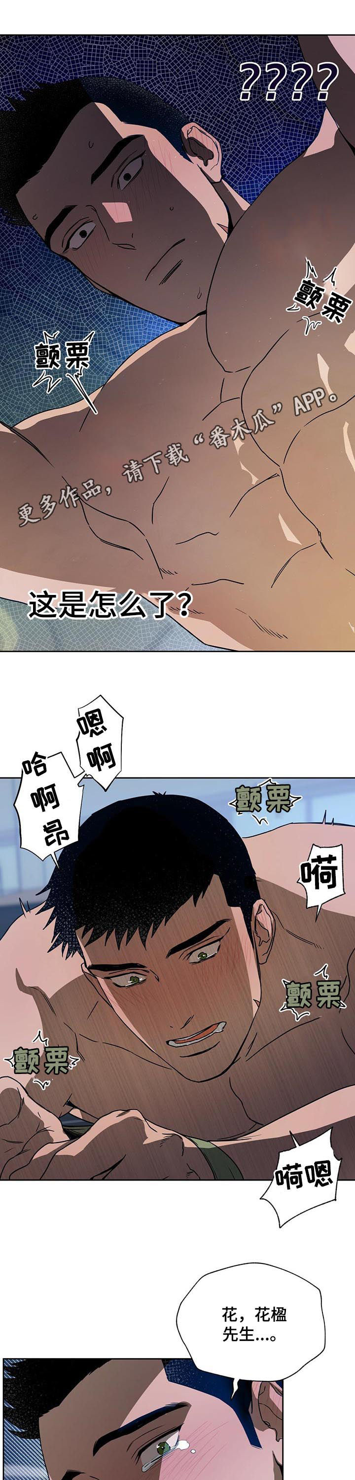 第68章：双数0