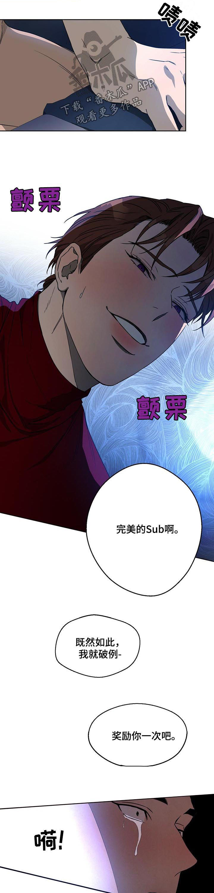 第70章：二次破坏1