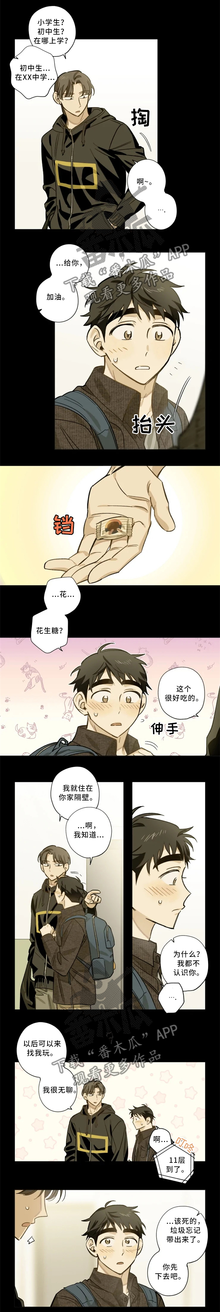 第19章：担心0