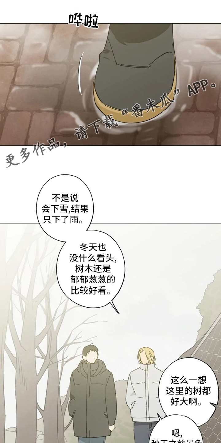 第103章：情侣戒0
