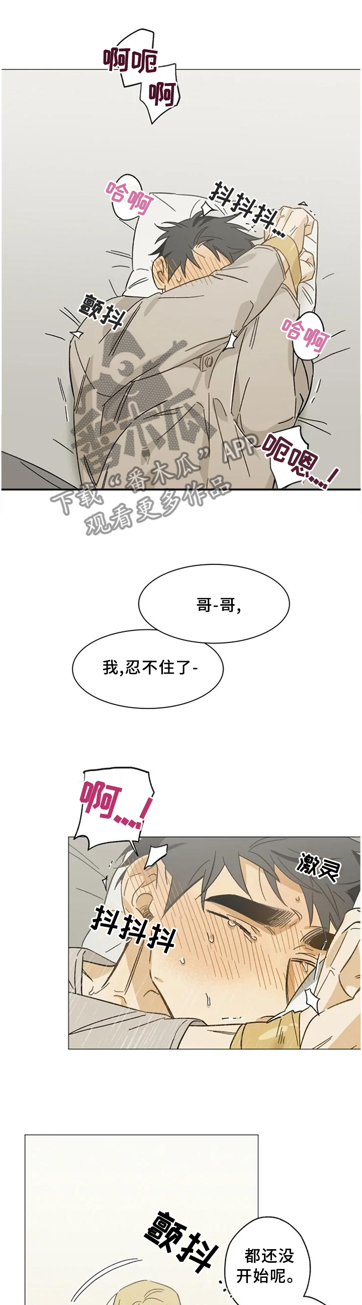 第62章：打开了开关0