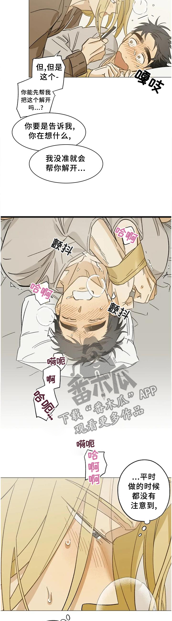 第62章：打开了开关4