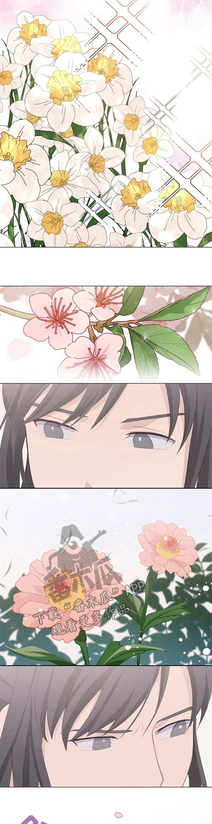 第16章：花繁叶茂2
