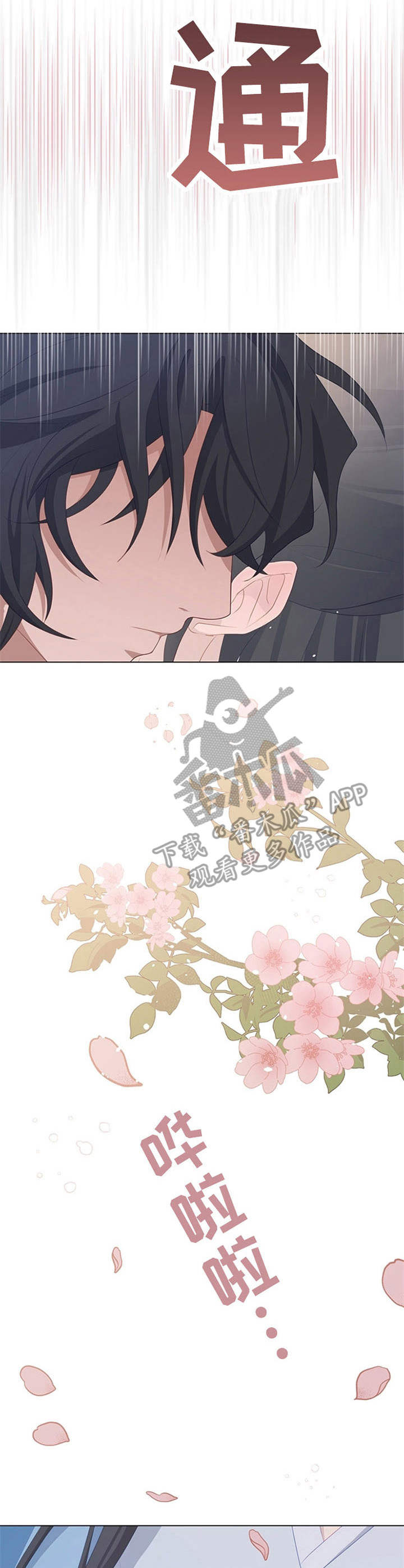 第30章：材料2