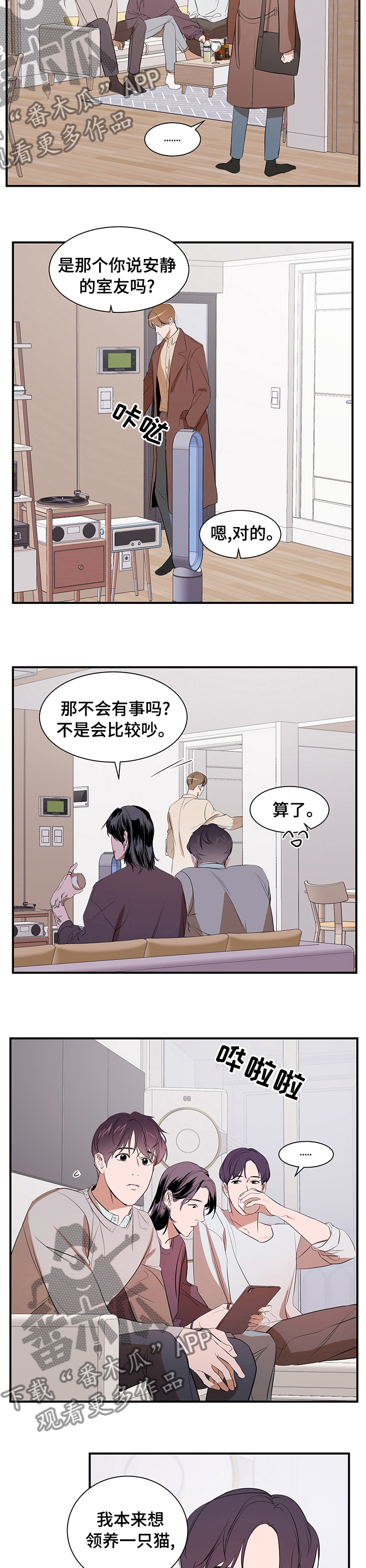 第63章：一只猫2