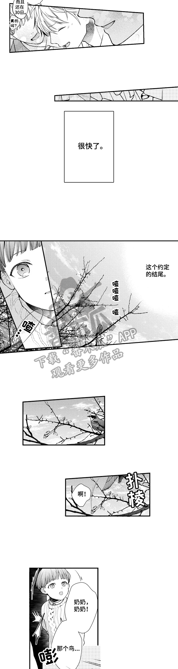 第27章：归巢之鸟3